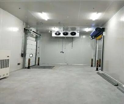 山東農(nóng)貿(mào)市場建一座100平方米冷庫造價(jià)估算-開冉制冷