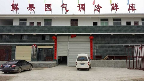 4000平方氣調(diào)冷庫安裝 4000平方氣調(diào)冷庫安裝